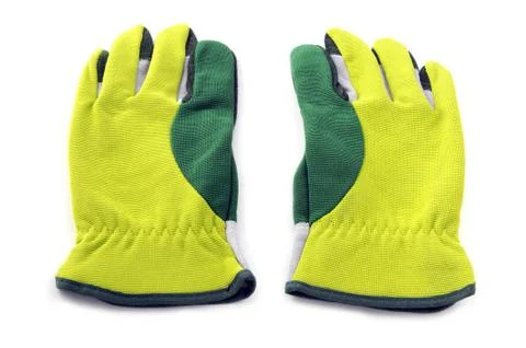 Back side of pair garden gloves on isolated white background Stock Photos