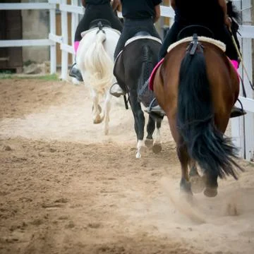 Back side view of a group of riders Stock Photos