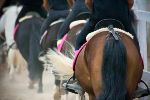 Back side view of a group of riders Stock Photos