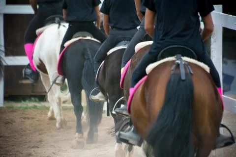 Back side view of a group of riders 库存照片