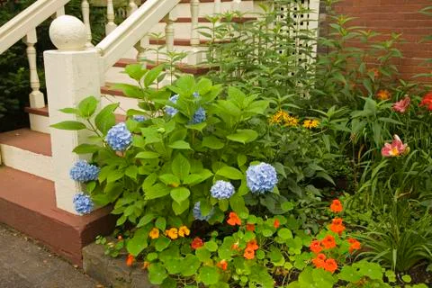 Back steps garden Stock Photos
