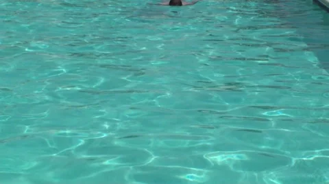 Back swim coming and going Stock Footage 30460302