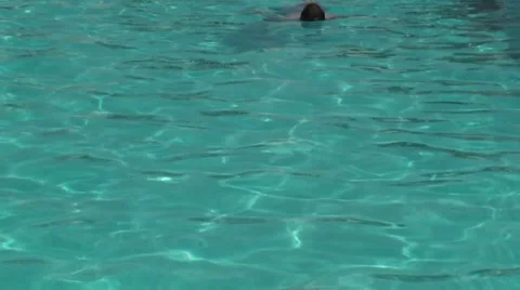 Back swim Stock Footage 30460333