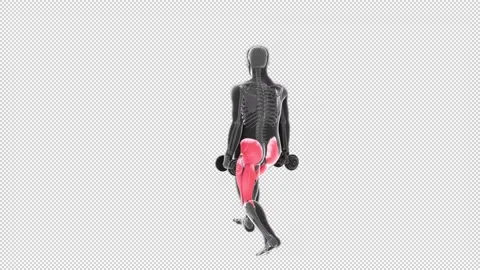 Back View of 3d Alternate Front Lunges 2 Dumbbell Stock Footage 154499362