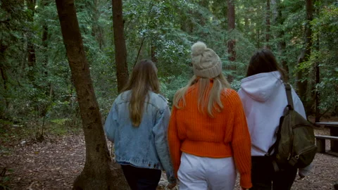 Back view of adventurous tourists on their camping trip to the deep, green woods Stock Footage 223609017