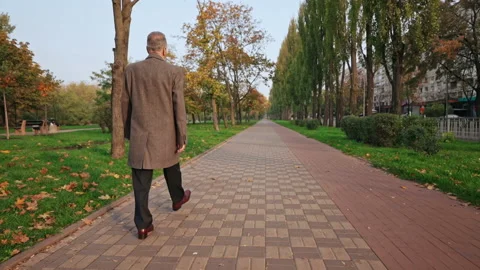Back view aged male stroll in park Stock Footage 146447697