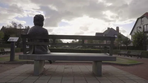 Back view of Albert Einstein statue sitting on the bench in De Haan (Le Stock Footage 219806392