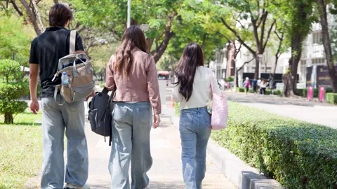 Back View of Asian University Students Walking Together on Campus Sidewalk Stock Footage 334355603
