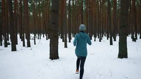 Back view athlete jogging in winter Stock Footage 219306297