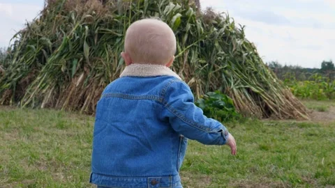 Back view of baby walking in the pumpkin patch among corn maze and wooden boxes Stock Footage 139558617