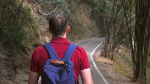 Back view of backpacker man walking on road among green trees and bamboo Vídeos de archivo 196000501