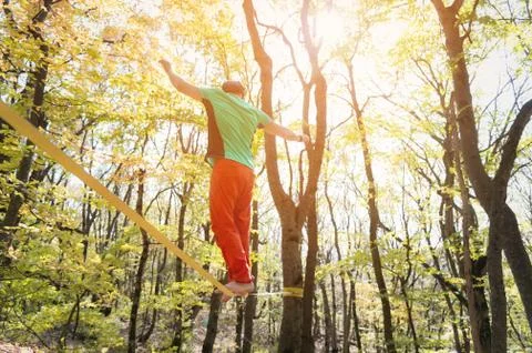 Back view bearded man aged walks along a slackline in the autumn forest on a Stock Photos
