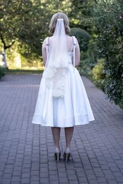 Back view of a bride in a tea-length white wedding dress and lace-trimmed veil,  Stock Photos
