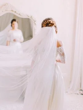 The back view of the bride with the veil on the head looking in the mirror. Stock Photos