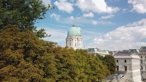 Back view of Buda castle in Budapest - green forground Stock Footage 123875739
