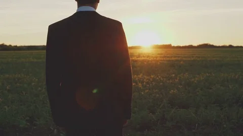 Back view of businessman lookingon evening field 4K 動画素材 76998322