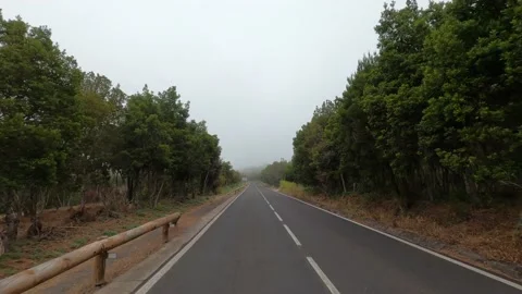 Back view of a car driving on the road or high way or street with the forest and Stock Footage 139046779