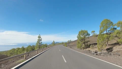 Back view of a car driving on the road or high way or street with the forest and Stock-Footage 151322734