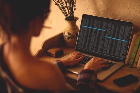 Back view of caucasian female programmer siting at desk, using laptop with Stock Photos