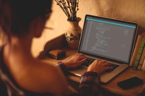 Back view of caucasian female programmer sitting at desk, using laptop with 库存照片