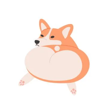 Back view of corgi dog 스톡 일러스트