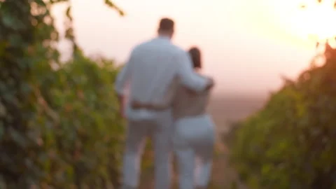 Back view of couple in love in blur embracing dating outdoors in nature Stock Footage 288987478