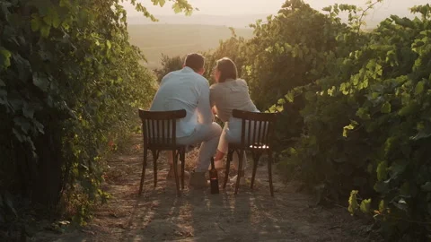Back view of couple in love dating outdoors in nature drinking wine Stock Footage 288987627