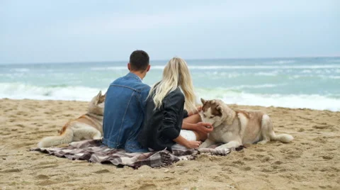 Back view of a couple sitting on the beach with husky dogs slow motion Stock Footage 65204979