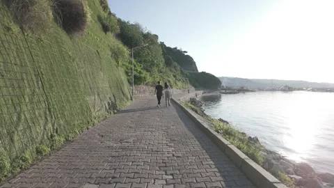 Back View of a Couple Walking on a Road by the Sea Stock Footage 310742212