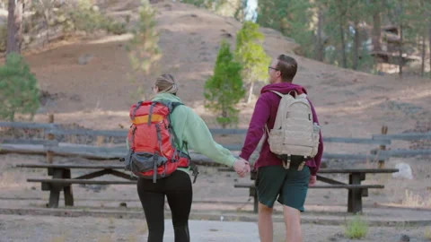 Back View of Couple Walking Together on a Forest Hiking Trail Video stock 267657532