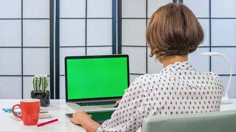Back view of a creative artist looking at computer display and using pen tablet Video stock 74006206