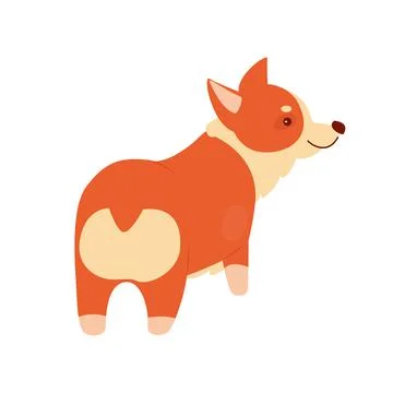 Back view of cute fluffy corgi Ilustração Stock