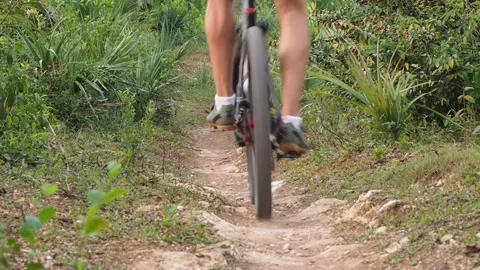 Back view. cyclist riding at footpath in forest, wearing red cycling jersey. Stock Footage 136270945