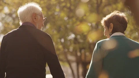Back view of elderly couple holding hands while walking together in park . Stock Footage