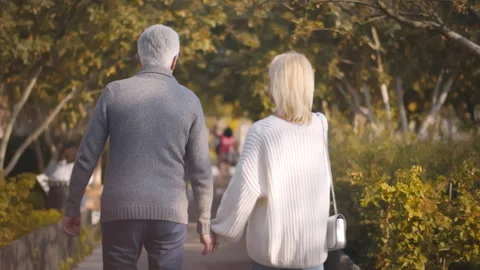 Back view of elderly couple holding hands while walking together in park Stock Footage 232867015