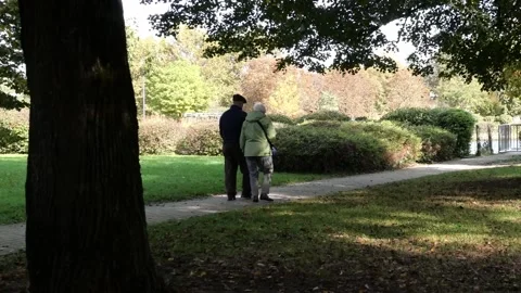 Back View Of Elderly Couple Holding Hands While Walking Together In a Green Park Stock Footage 254099238
