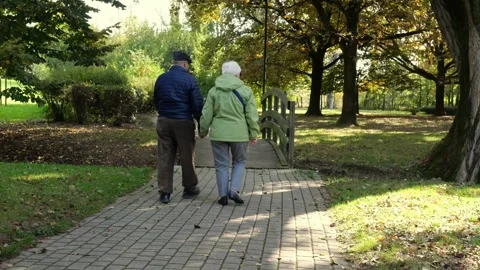 Back View Of Elderly Couple Holding Hands Crossing a Wooden Bridge In Green Park Stock Footage 254099279