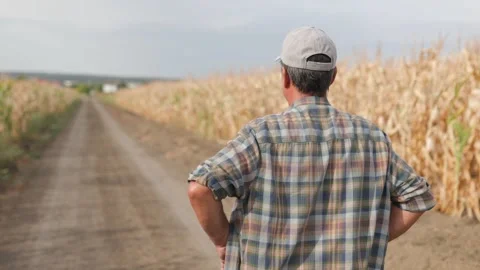 Back View of Elderly Farmer on Country Road Lined with Fields Stock Footage 282749589