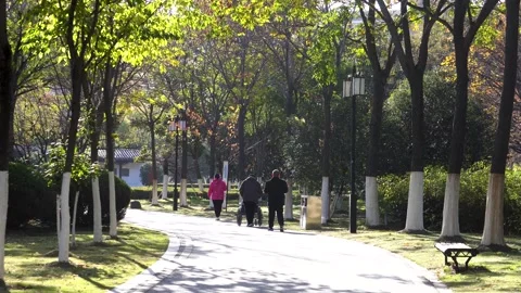The back view of an elderly person walking and exercising in Huantan Park, Stock Footage 346326196