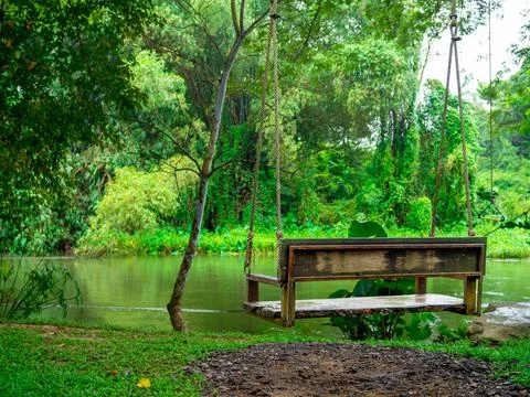 Back view of a empty alone wooden swing hanging on the big tree over the st.. Stock Photos