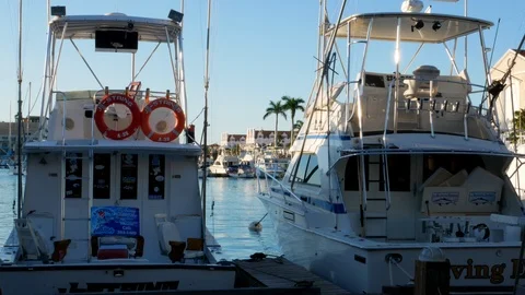 Back view of expensive yachts moored at the harbour of Oranjestad, Aruba Stock-Footage 121476849