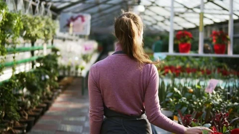Back view of female florist touching leaves of different plants while walking Видео 84135744
