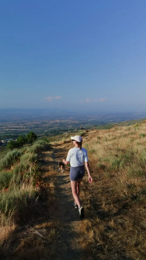 Back View of Female Hiker and Dog on Mountain Path Stock Footage 345529809