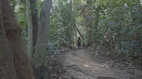 The back view of a female hiker walking. Video stock 341800876