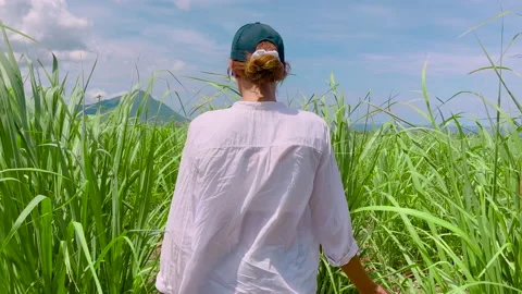 Back view of female Mauritius sugarcane plantation worker Stock Footage 168289664