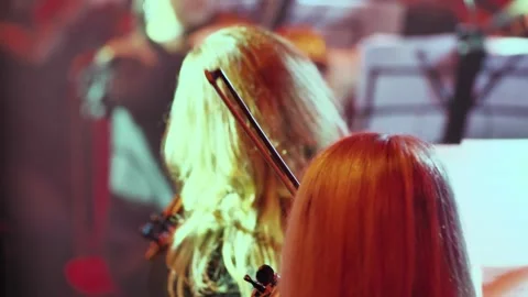 Back view of female violinists in a symphony orchestra playing classical music Stock Footage 259932970