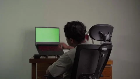 Back view of freelancer in front of laptop Stock-Footage 320062145