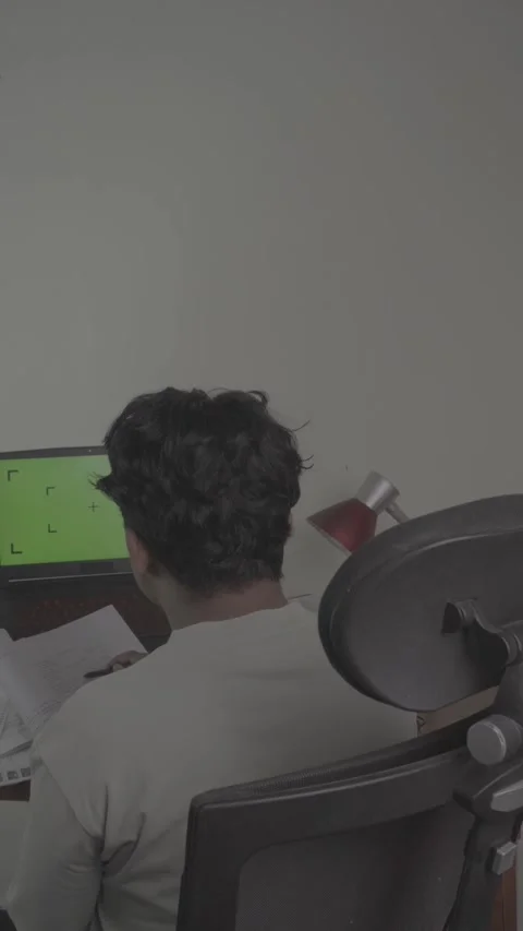 Back view of freelancer in front of laptop Stock-Footage 320246517