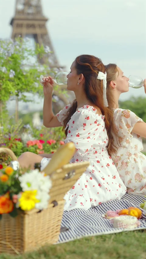 Back View of Friends Raising Glasses at Paris Picnic 스톡 동영상 344578879