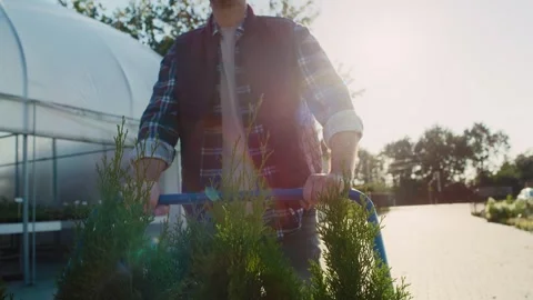 Back view of garden center worker pushing a trolley with plants Video stock 267077539